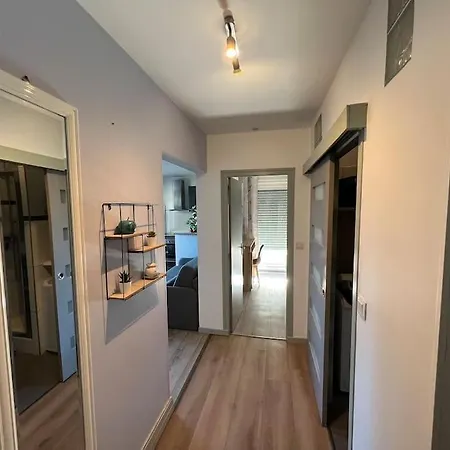 Le New Yorkais-jardin Des Plantes Angers